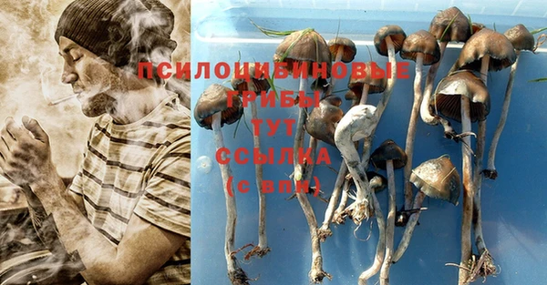 мдпв Лихославль