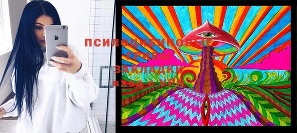 мдпв Лихославль
