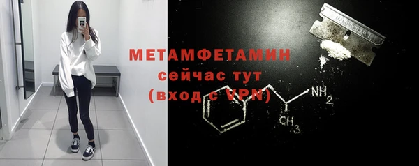 шишки Сатка