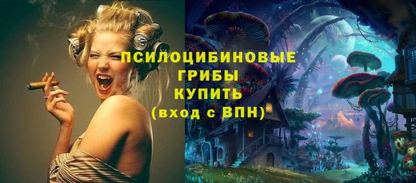 мдпв Лихославль