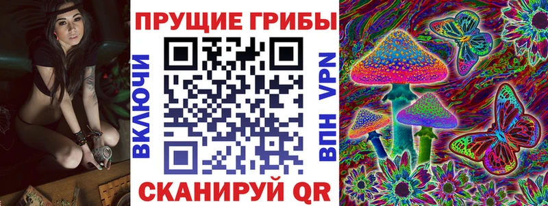Псилоцибиновые грибы Psilocybe  где купить наркотик  Темников 